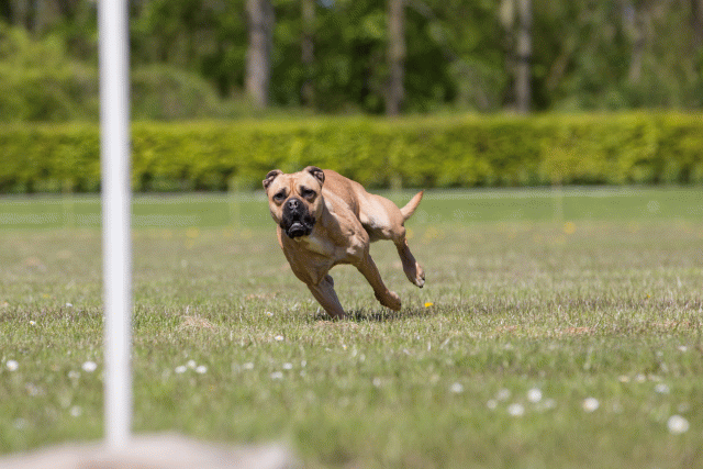 3Y3A7825 26195076104 O