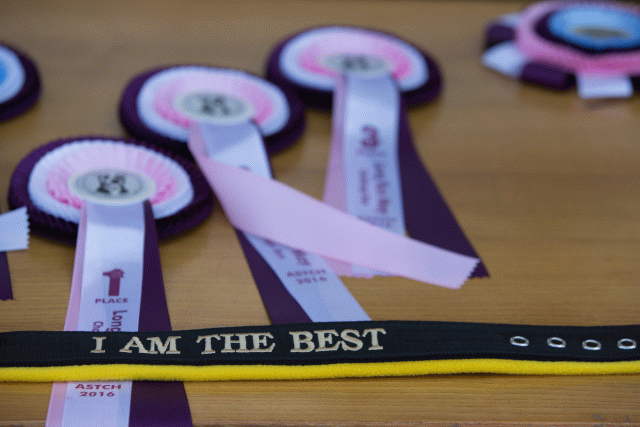 3Y3A7832 26195075834 O