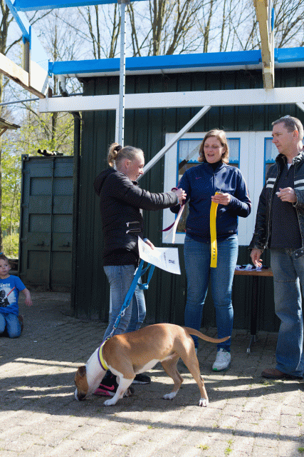 3Y3A7850 26706993862 O