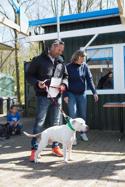 3Y3A7864 26706991612 O