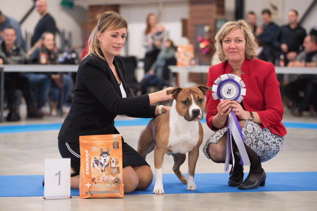 Bo4I0697 31342156985 O