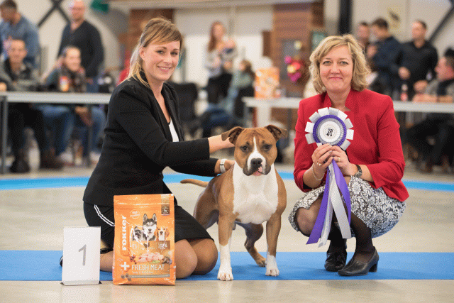 Bo4I0698 30534462533 O