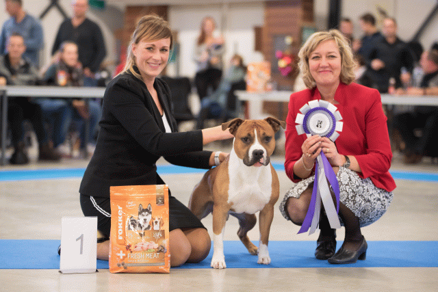 Bo4I0699 30519644004 O