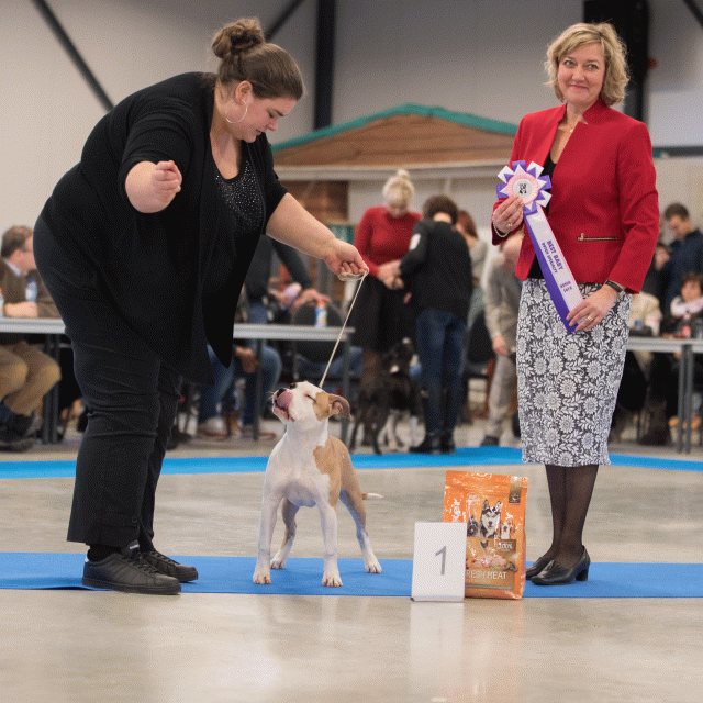 Bo4I0700 31227220441 O