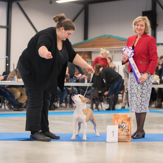 Bo4I0701 31197973502 O