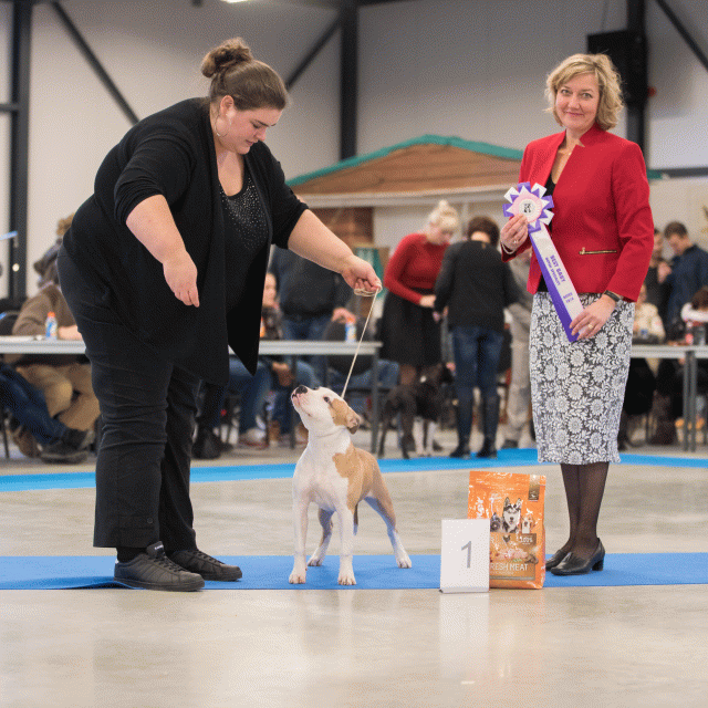 Bo4I0702 31227220151 O