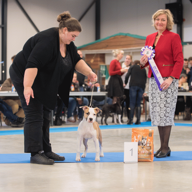 Bo4I0703 30519643564 O