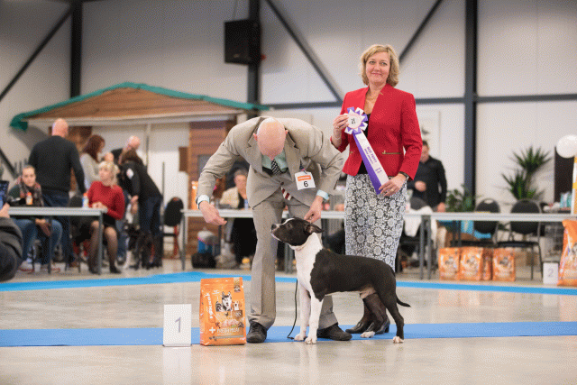 Bo4I0705 30534462143 O