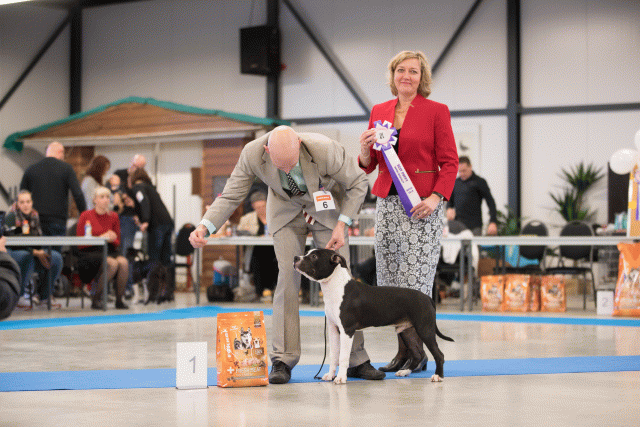 Bo4I0706 31306000056 O