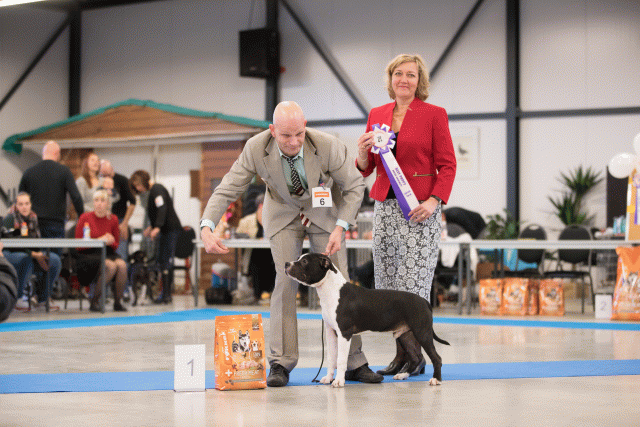 Bo4I0707 30519643224 O