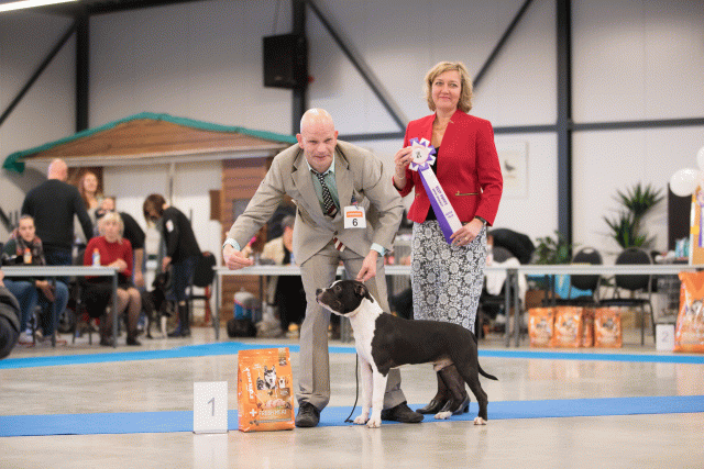 Bo4I0708 31305999476 O