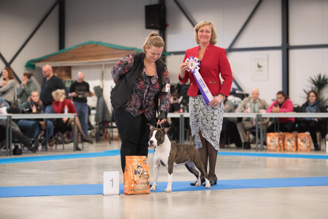 Bo4I0712 31305999216 O