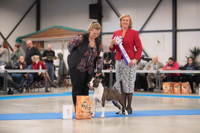 Bo4I0713 31305999016 O