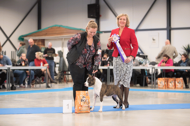 Bo4I0714 31305998776 O