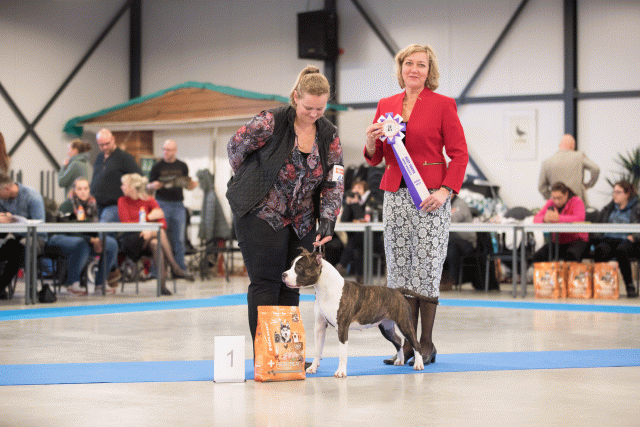 Bo4I0715 31305998626 O