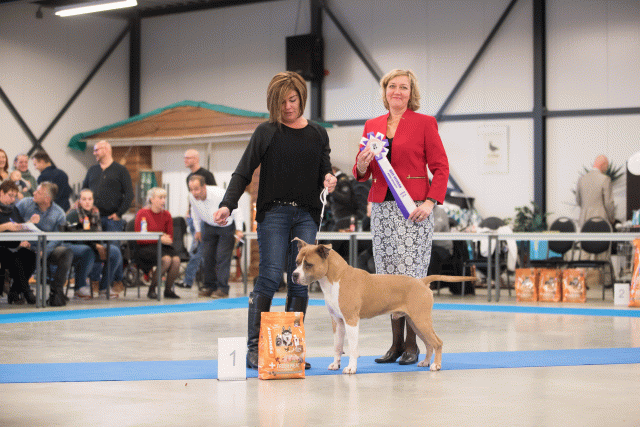 Bo4I0716 31342154945 O