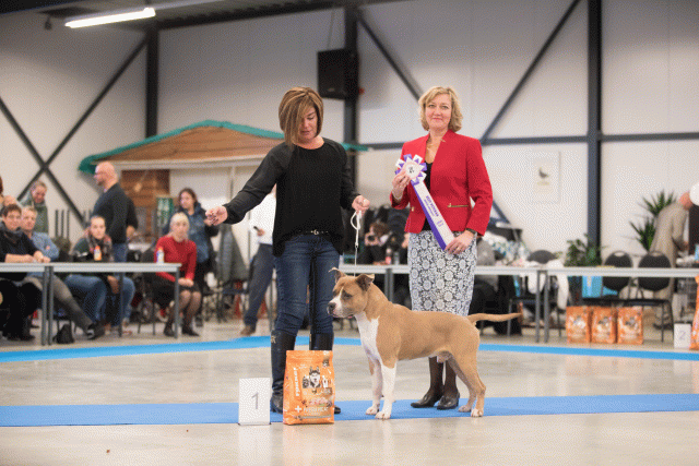 Bo4I0717 31305998346 O