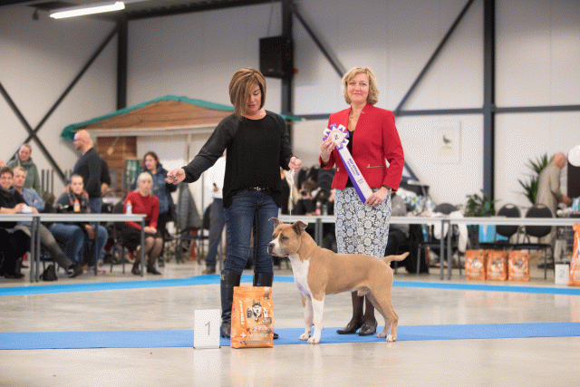 Bo4I0718 31305999546 O