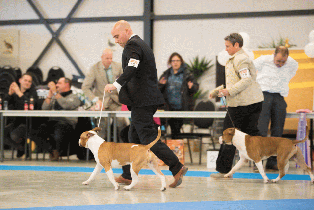 Bo4I0724 31227218241 O