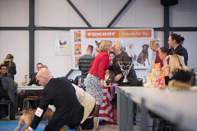 Bo4I0725 30534456703 O