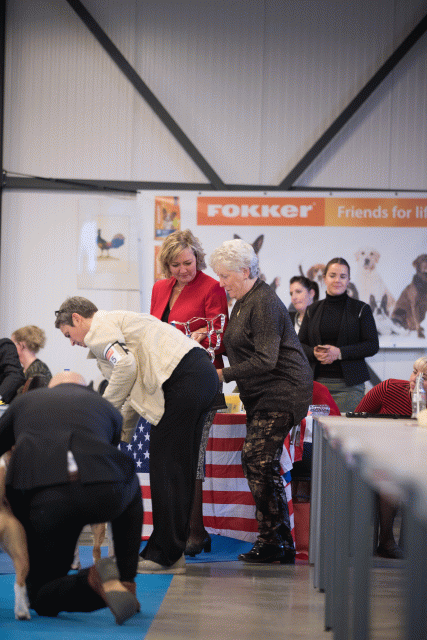 Bo4I0726 30534456323 O