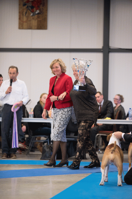 Bo4I0727 31197970952 O