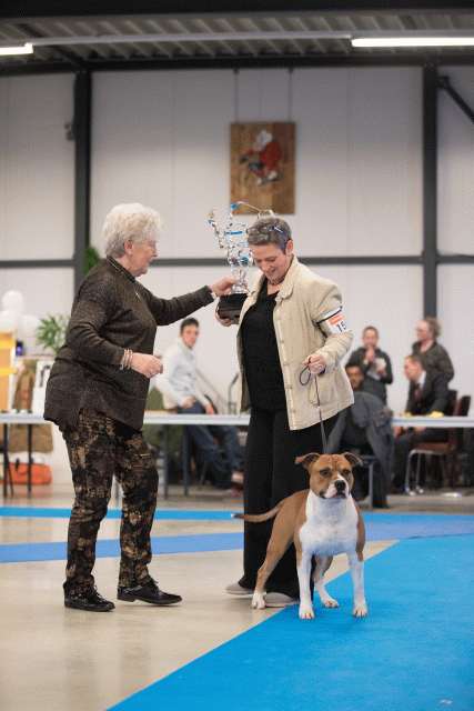 Bo4I0738 30534452343 O