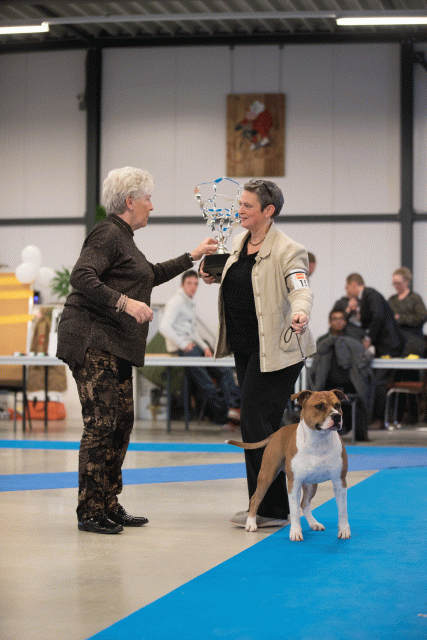 Bo4I0739 31342147695 O