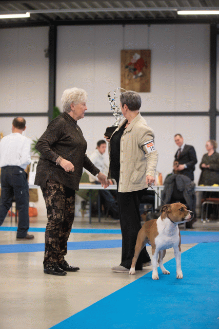 Bo4I0740 31227216271 O