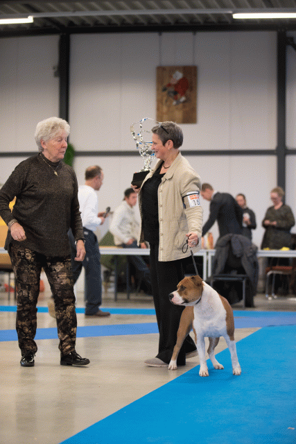 Bo4I0741 31342147065 O