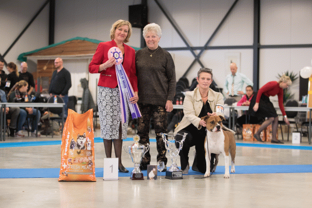 Bo4I0745 31342146195 O