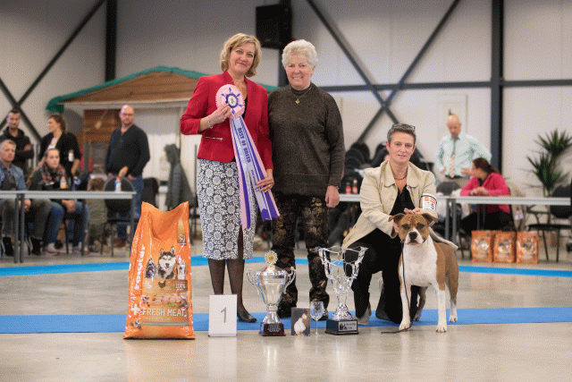 Bo4I0746 31197966352 O