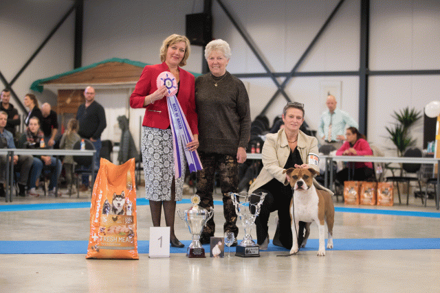 Bo4I0747 30534449193 O