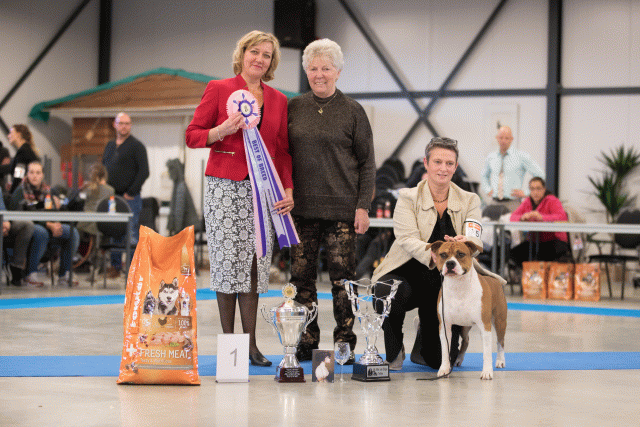 Bo4I0748 31197965992 O