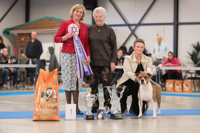 Bo4I0749 30534448363 O