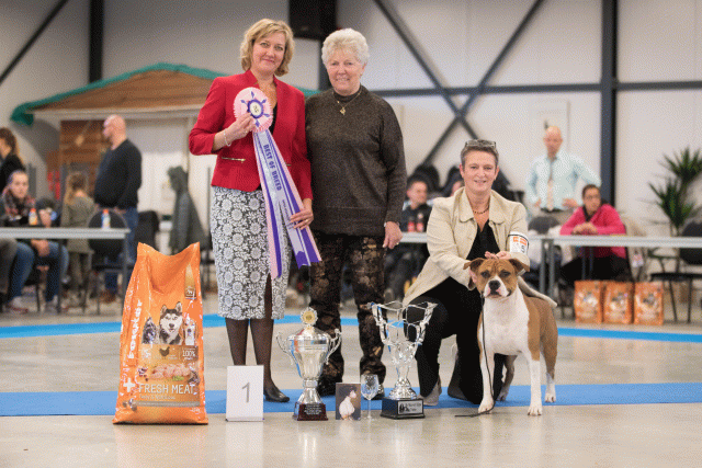 Bo4I0750 31197965802 O