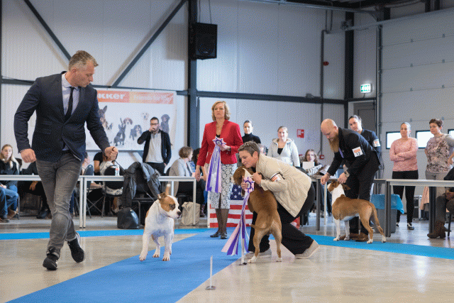 M36A0378 30534516783 O