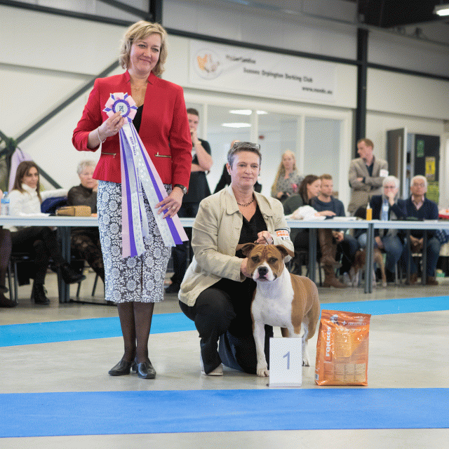 M36A0379 31342196775 O