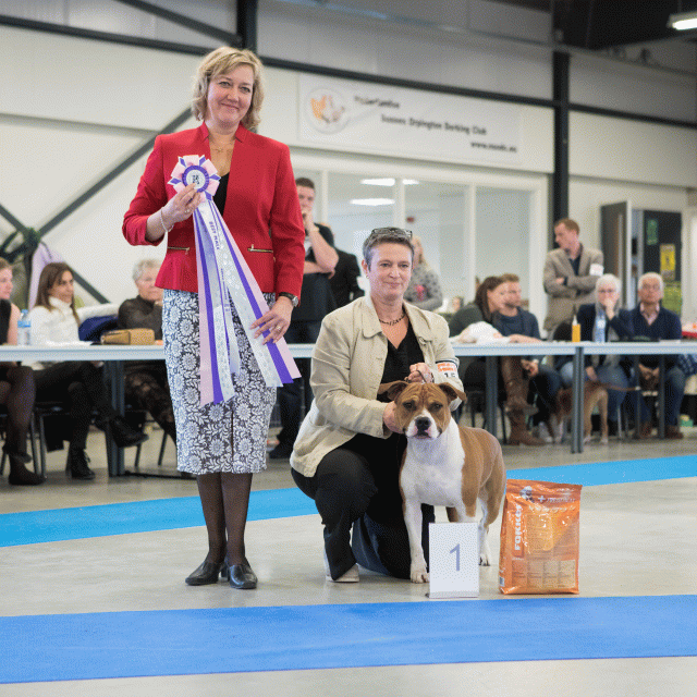 M36A0380 30534516553 O