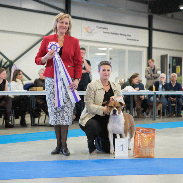 M36A0381 30519697644 O