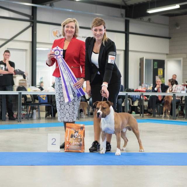 M36A0382 30534516303 O