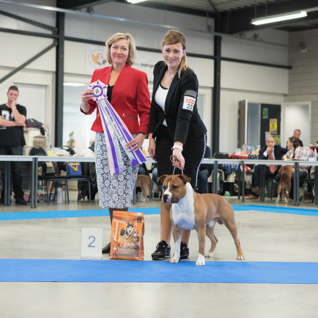 M36A0383 30519696074 O