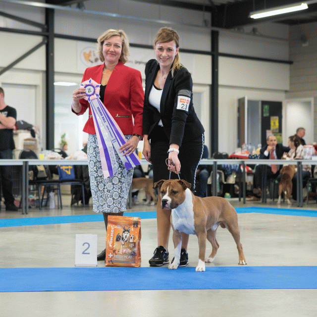 M36A0384 30534516073 O