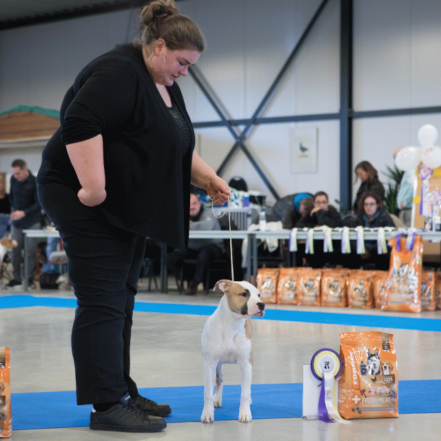 M36A0385 31342196185 O