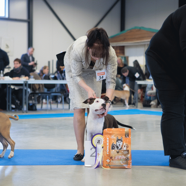 M36A0386 30519694854 O