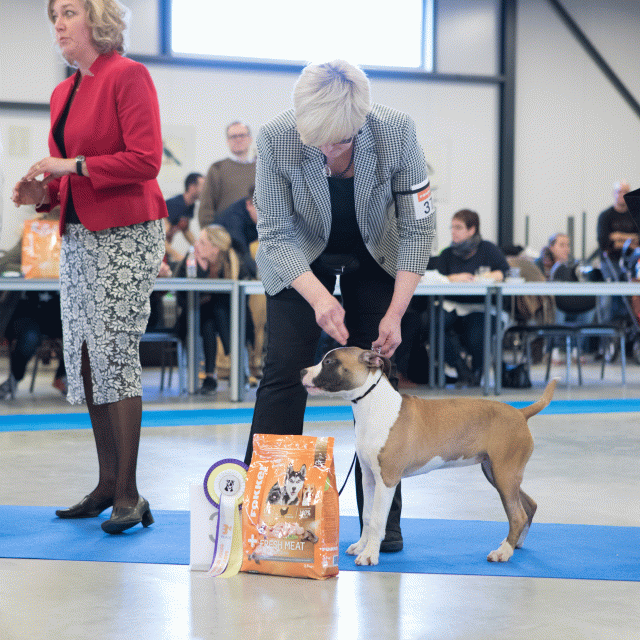 M36A0387 31227260931 O