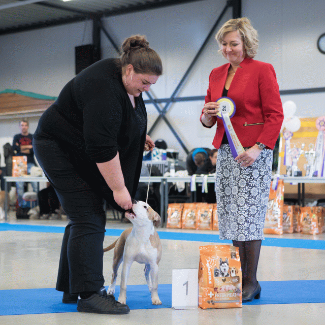 M36A0389 30534516043 O