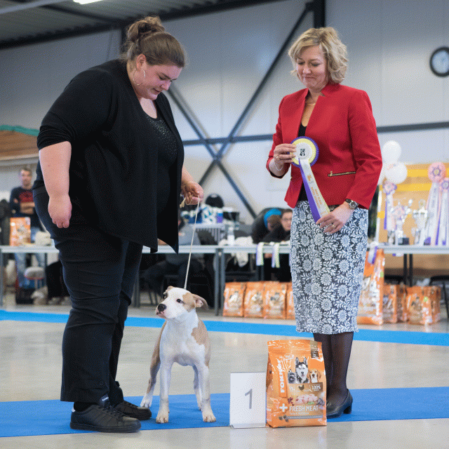 M36A0390 31227260701 O