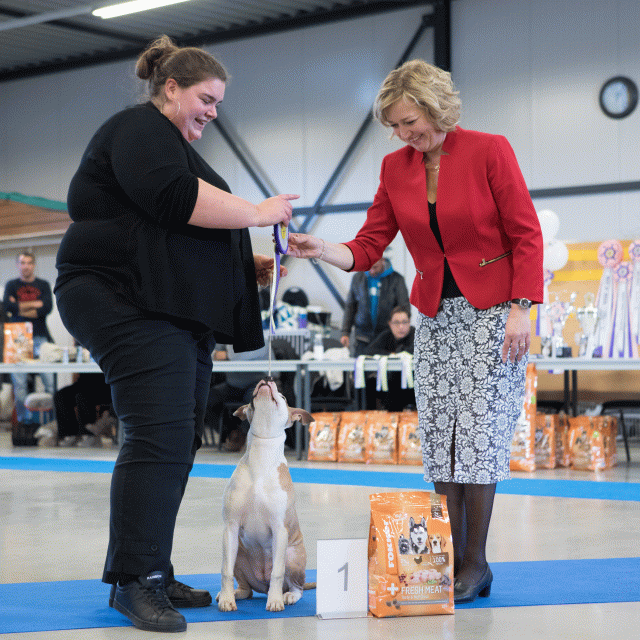 M36A0391 30534515873 O