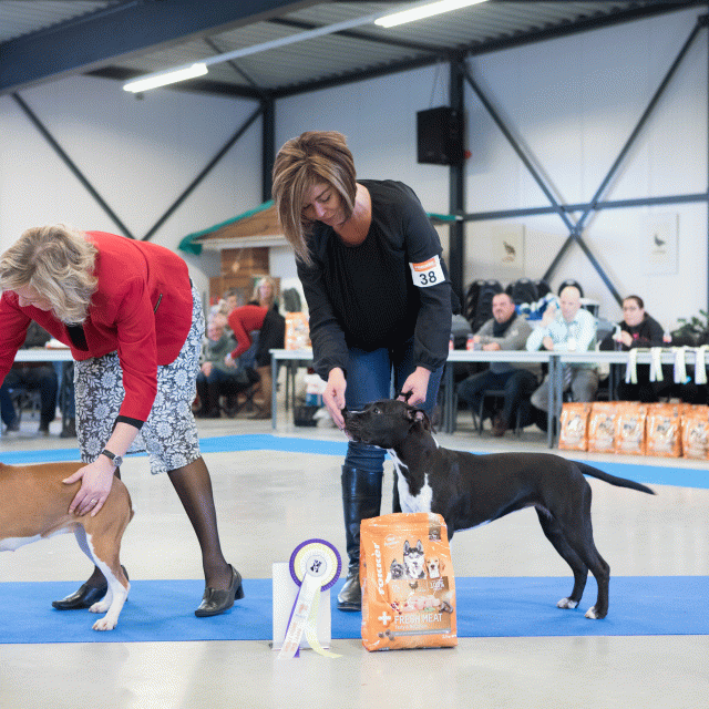 M36A0394 31198034072 O